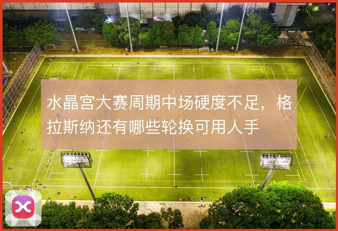 水晶宫大赛周期中场硬度不足，格拉斯纳还有哪些轮换可用人手