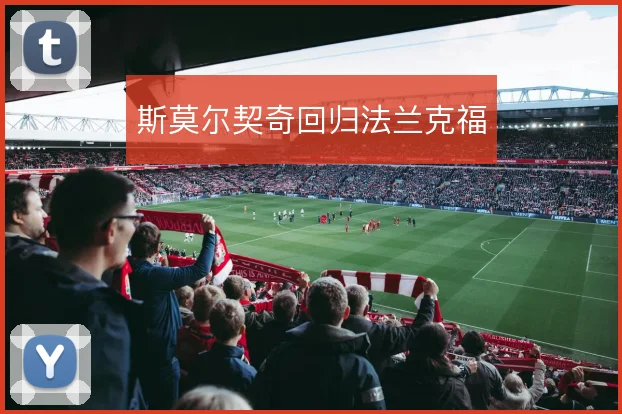 斯莫尔契奇回归法兰克福